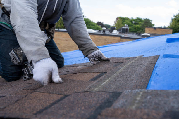 Best Commercial Roofing Services  in Perry, OH